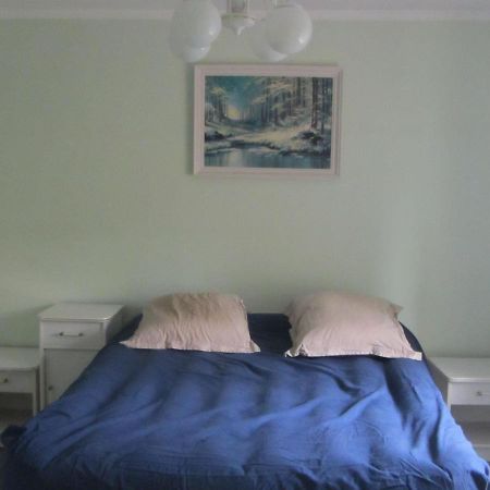 Spacious Holiday Home In Stara Kamienica With Pond エクステリア 写真